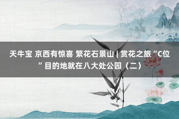 天牛宝 京西有惊喜 繁花石景山 | 赏花之旅“C位”目的地就在八大处公园（二）