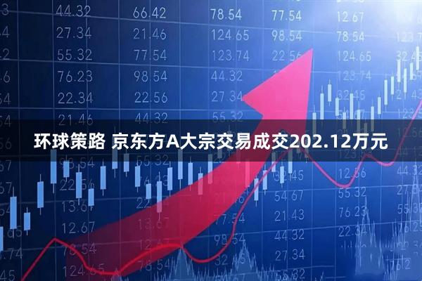 环球策路 京东方A大宗交易成交202.12万元