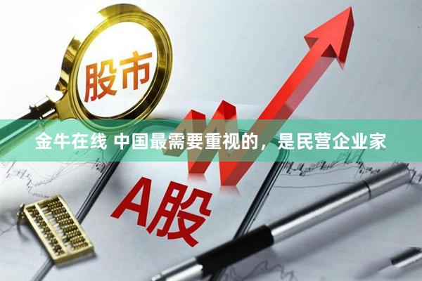金牛在线 中国最需要重视的，是民营企业家